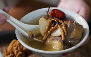  冬蟲夏草和什么食材搭配煲湯比較好？