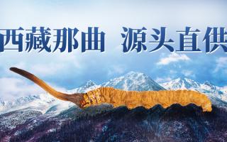 2025 年冬蟲(chóng)夏草市場(chǎng)核心數(shù)據(jù)簡(jiǎn)報(bào)