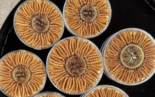 100塊錢(qián)一盒冬蟲(chóng)夏草能買(mǎi)嗎？行業(yè)權(quán)威拆解+避坑指南