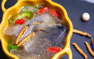 那曲冬蟲(chóng)夏草辨別全指南｜教你避開(kāi)市場(chǎng)陷阱，認(rèn)準(zhǔn)正宗珍品