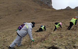 深耕那曲雪域，甄選正宗好草——2026那曲冬蟲(chóng)夏草優(yōu)質(zhì)品牌盤(pán)點(diǎn)